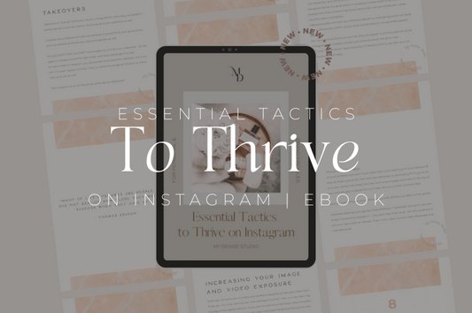 ESSENTIAL TACTICS TO THRIVE ON INSTAGRAM | EBOOK COURSE